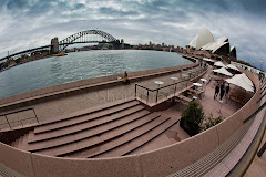 Sydney Harbour fisheye