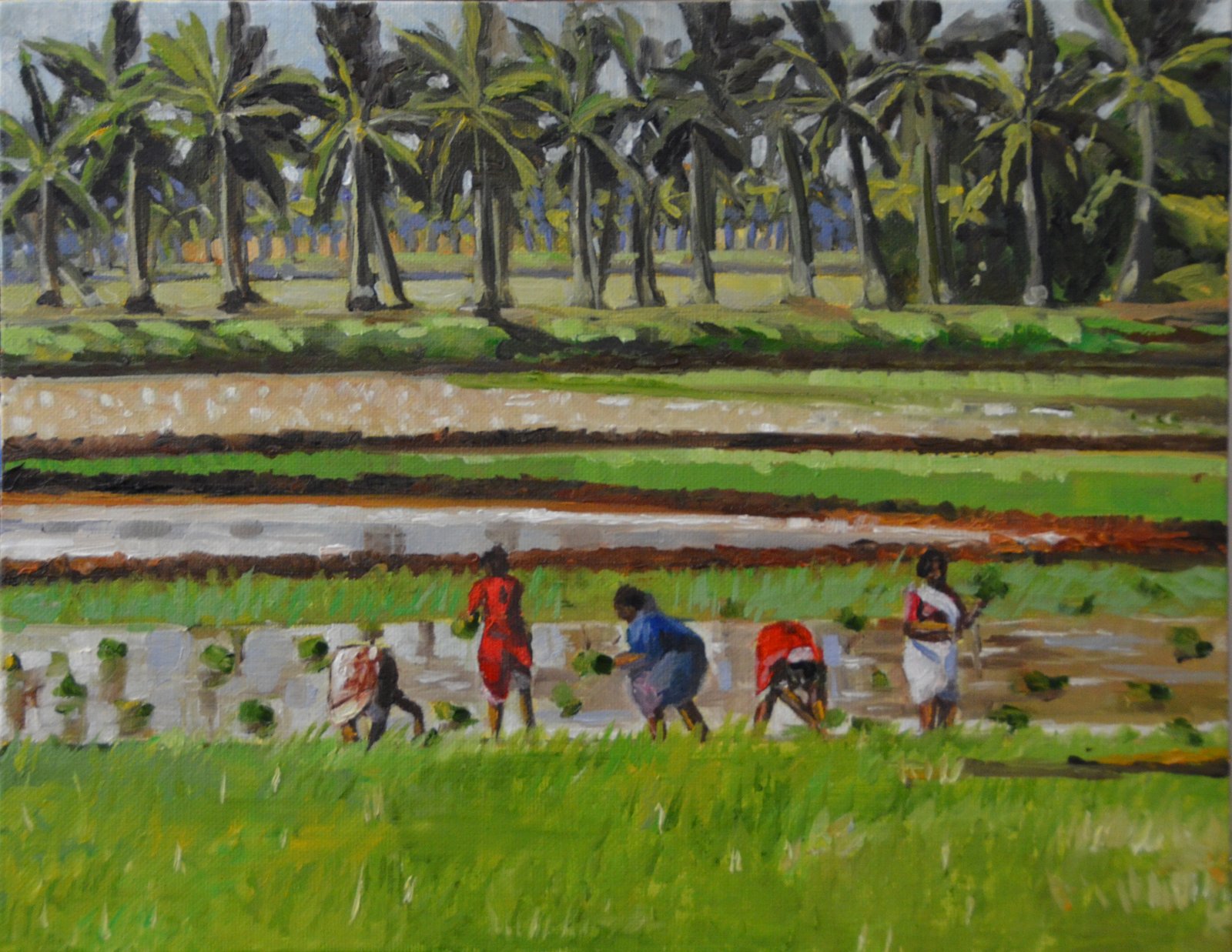My Daily paintings: Farmers in Rice Fields