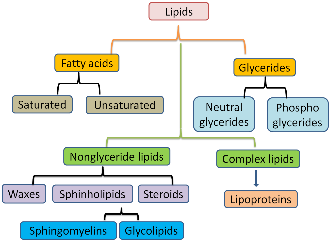 Classification Of Lipids Chart