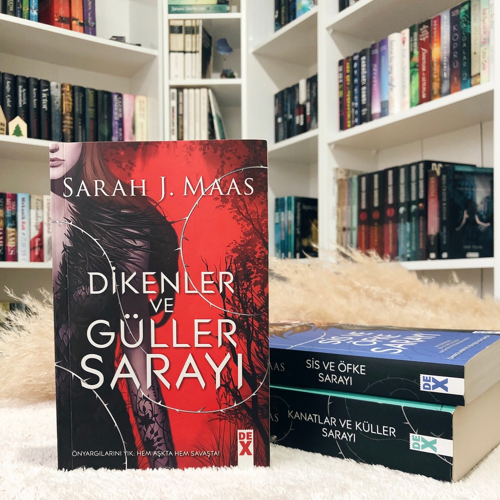 Dikenler Ve Guller Sarayi Kitap Yorumu Sarah J Maas Laura Nin Gunlugu