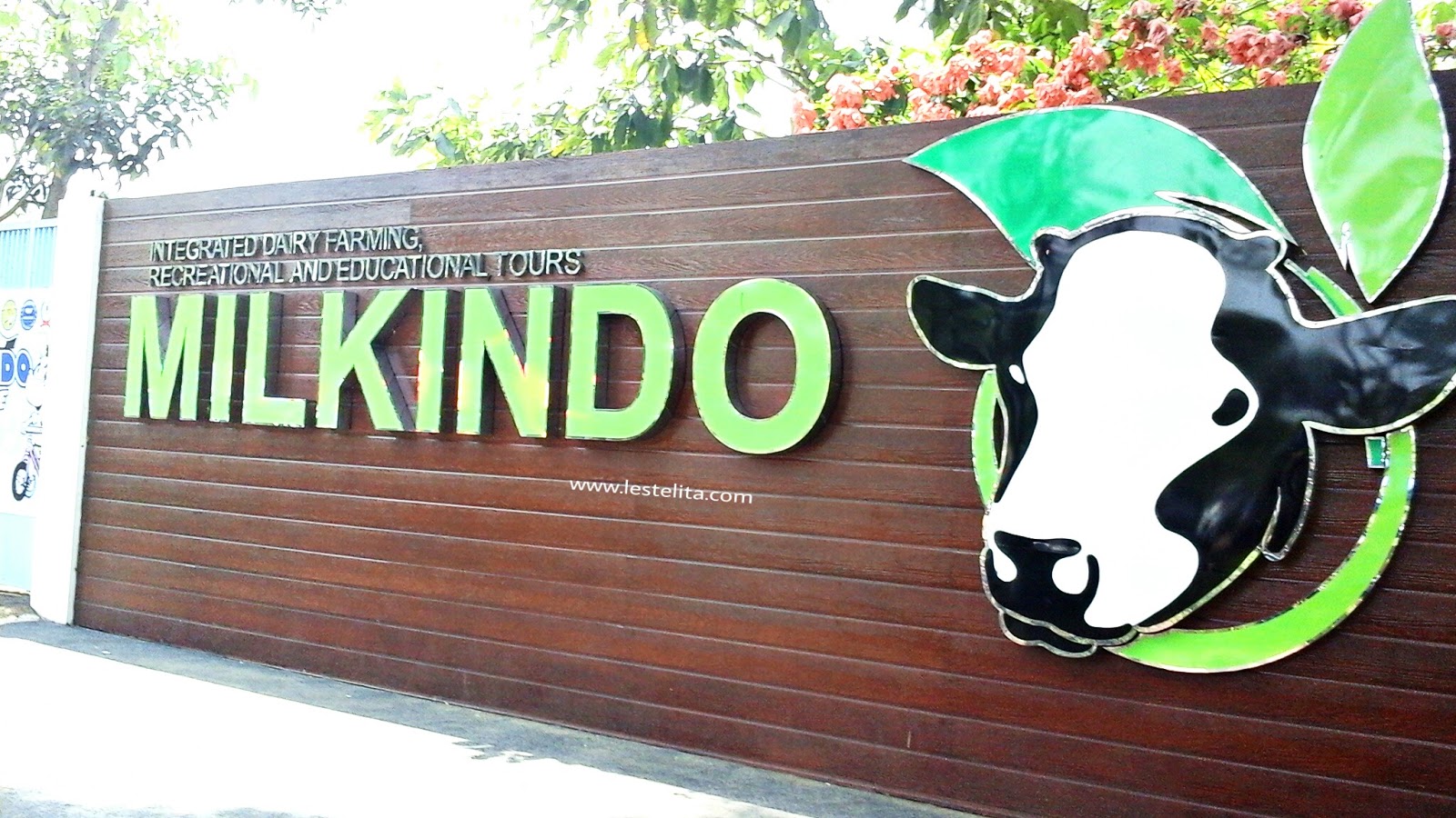 Milkindo, Peternakan Sapi dengan Konsep Wisata Edukasi