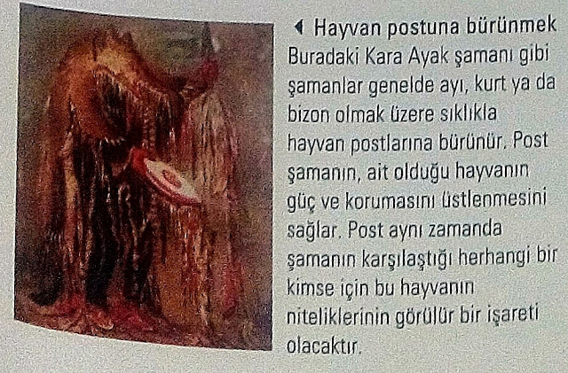 Hayvan postuna bürünmek. Ulu bilge