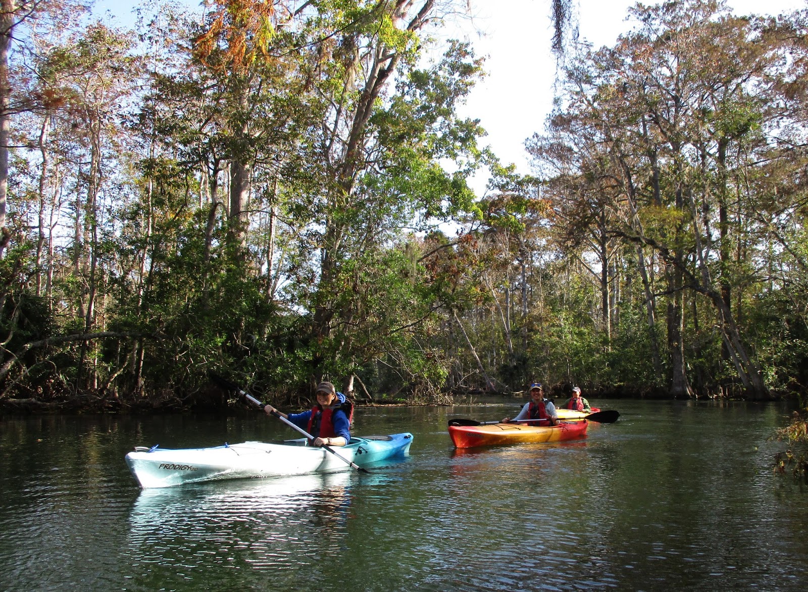 Central Florida Kayak Tours: Kayaking the Silver River... there is no