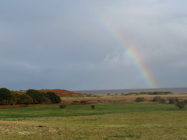 Minsmere, Suffolk