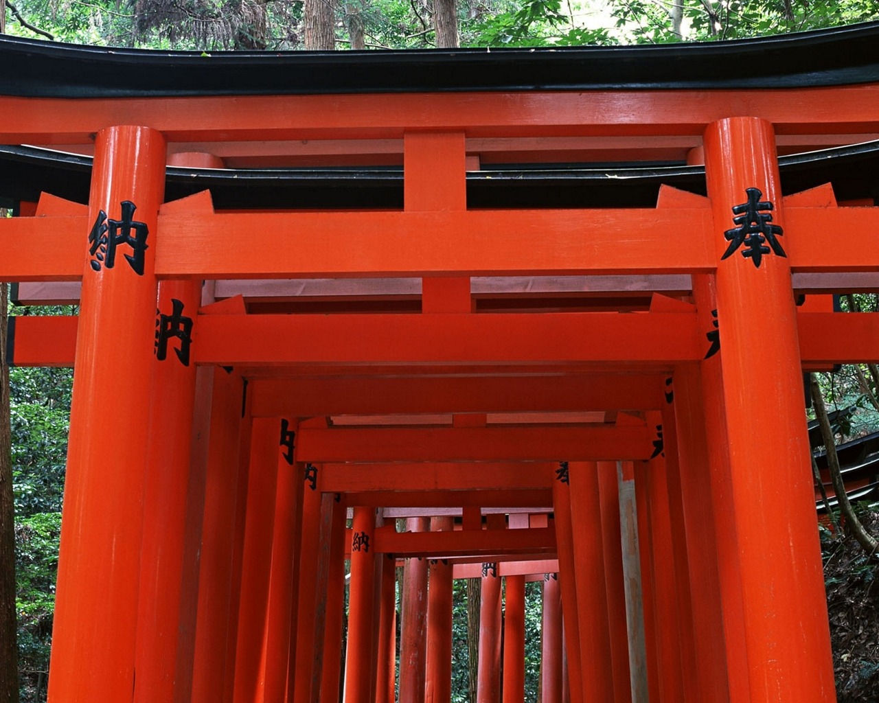 hd wallpapers 2012: August 2012