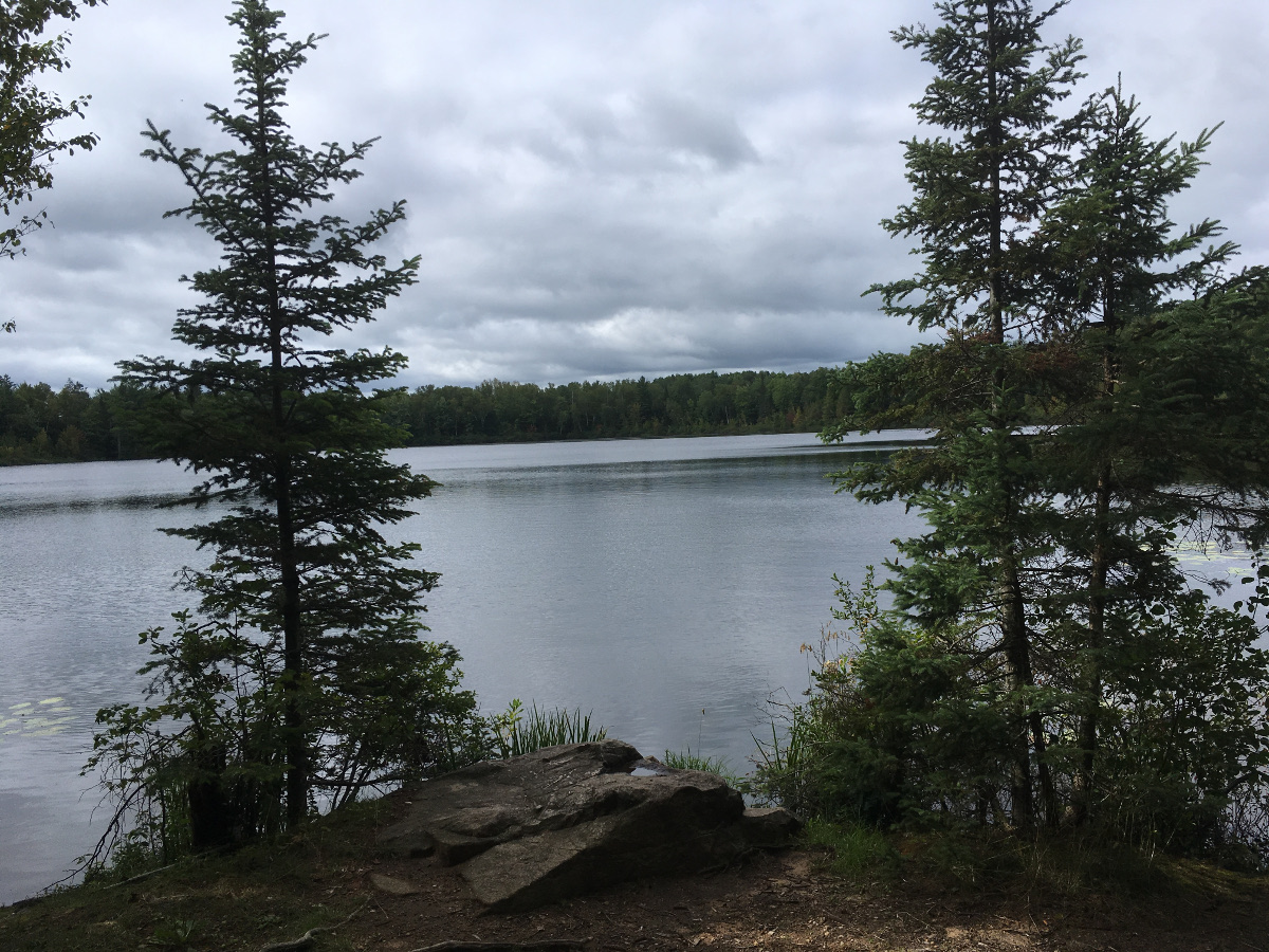 With just a couple of miles left in the loop, I came across this