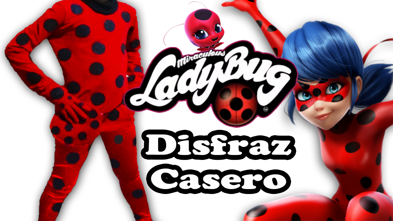 Ecobrisa Manualidades: Disfraz casero de Ladybug