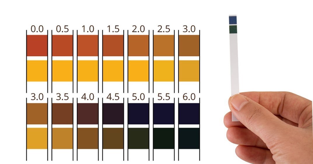 Choosing the best pH strips for Kombucha The Tool Yard