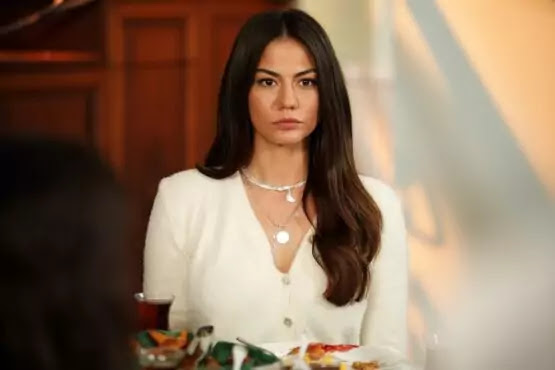 dogdugun ev kaderindir my home my destiny episode 19 summary and release date dogdugun ev kaderindir my home my destiny episode 19 summary and release date