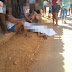 Barreiras: Jovem de 20 anos é morto a tiros no bairro Santa Luzia