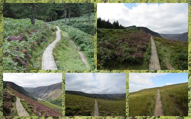 Hillwalking at Glendalough in County Wicklow - Boardwalk along the ridge