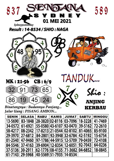 11 Syair sdy 14 juni 2021 pangkalantoto