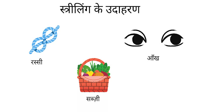 streeling-स्त्रीलिंग लिंग किसे कहते हैं, लिंग की परिभाषा, लिंग के भेद, ling ki paribhasha, ling ke bhed, ling ke udaahran, streeling, pulling