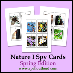 Nature I Spy Cards Spring Edition