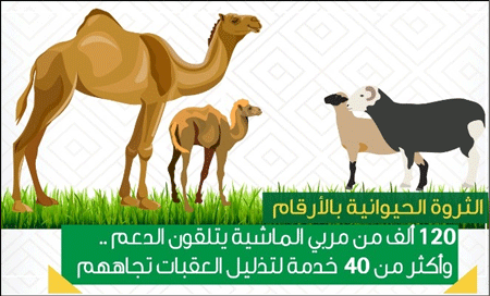 وزارة البيئة والمياه والزراعة 120 ألفا من مربي الماشية يتلقون الدعم وأكثر من 40 خدمة لتذليل العقبات تجاههم