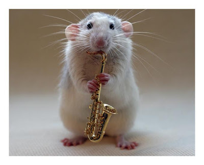 Rat playing a saxophone
