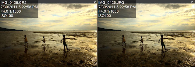 Perbandingan Foto format RAW dengan format JPG Pada Kamera Canon