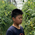 小小魚和小魚兒, 2018春假宜蘭小旅行, (3) 紫藤花和採蕃茄