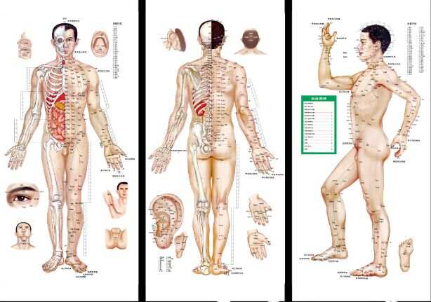 акупунктурные меридианы атлас. акупунктурные точки и меридианы на теле человека. меридианы в китайской медицине схема. акупунктура меридианы тела человека схема. акупунктурные точки на теле человека китайская медицина.