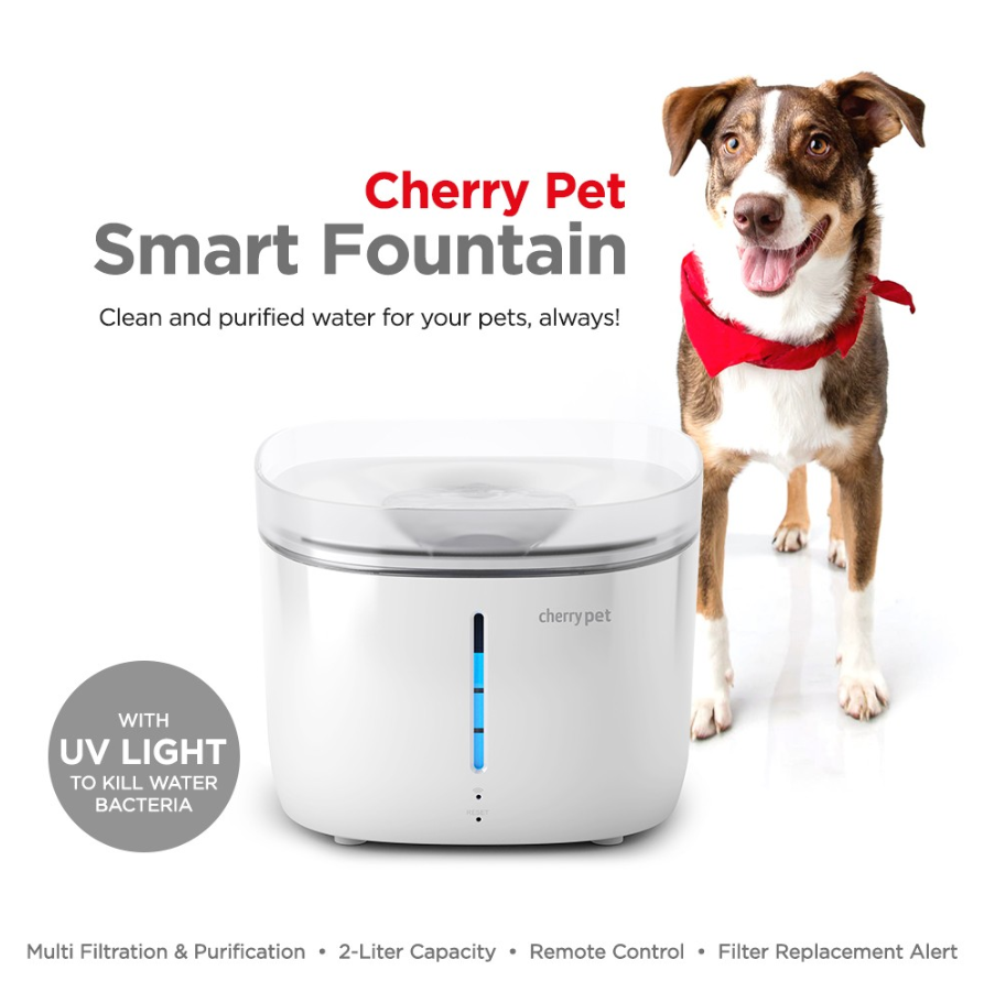 Cherry Pet, WiFi Feeder for Dogs and Cats, Gadgets for Pets