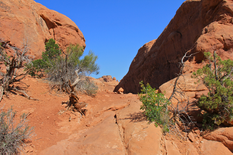 Arches: Windows Loop...Turrent Arch and Primitive Loop