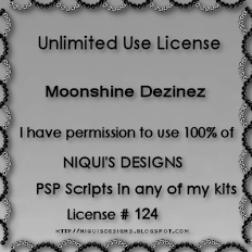 PU Unlimited Use Niqui's Designs