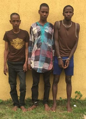 6 Photo: Police arrest kidnappers that murdered Dangote's strategist, recovers arms and ammunition