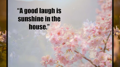 Quotes About Sunshine images
