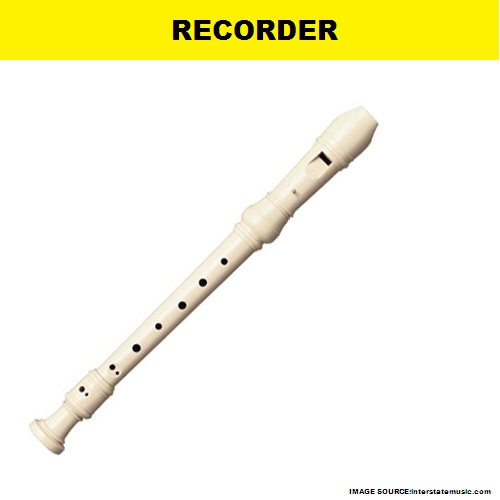 My Homeworks WOOD WIND INSTRUMENTRECORDER