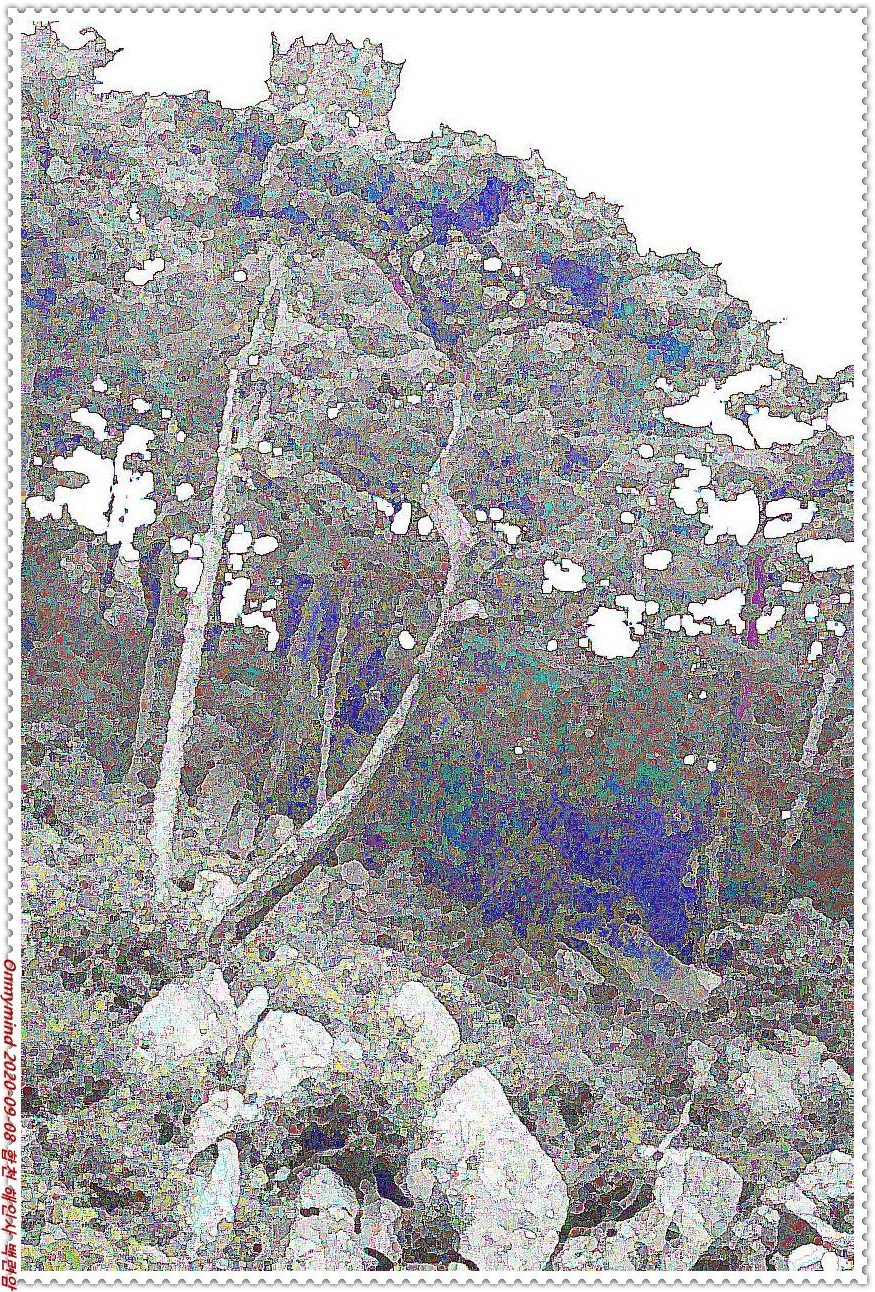 합천 해인사 백련암