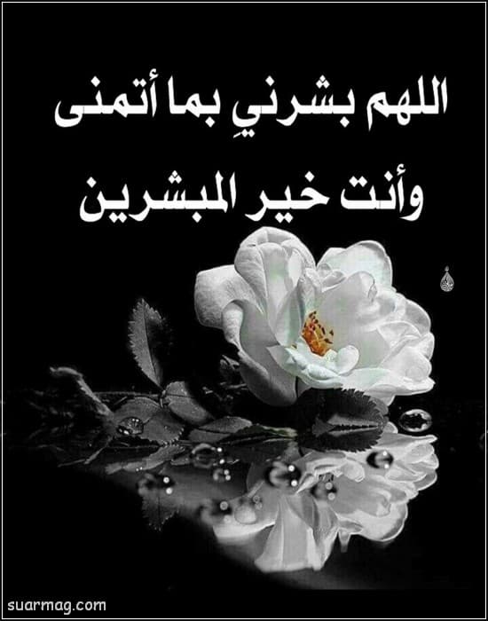 اجمل صور حالات واتس اب 2020 مميزة وحلوة