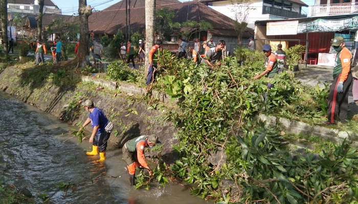SPMAA Tabanan Rapikan Pohon Perindang di Perumnas BSI