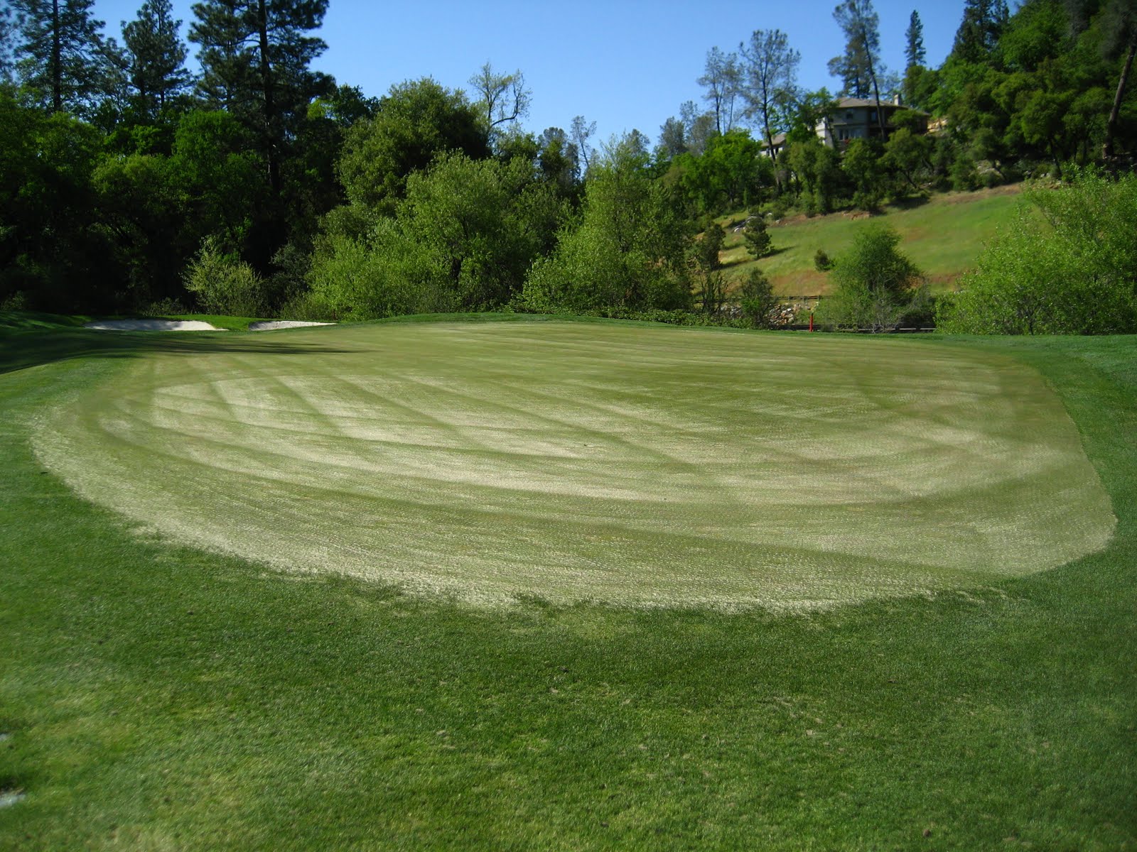 Winchester Country Club Golf Course Maintenance Course Aeration Day 2