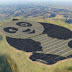 Chinese Designed A Gigantic Solar Farm That's Shaped Like A Panda