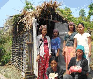 MICROFUNGI - THE MUSHROOM EXPERT: MUSHROOM CULTIVATION BY SHG IN NORTH