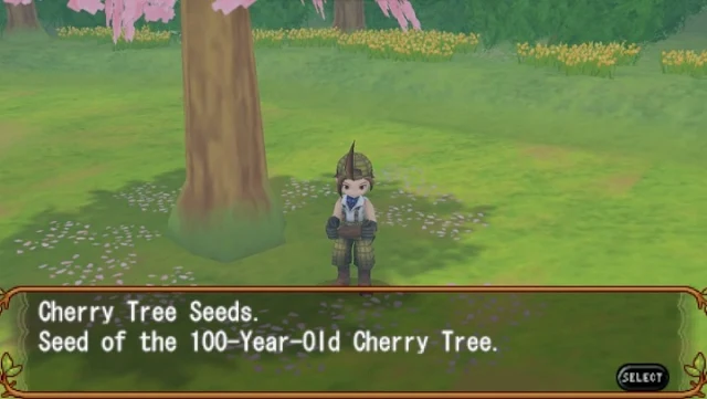 The Tale of 100 Years Old Cherry Tree Seeds