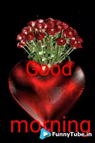 good morning love gif for whatsapp