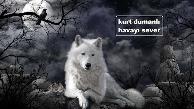 kurt dumanlı havayı sever