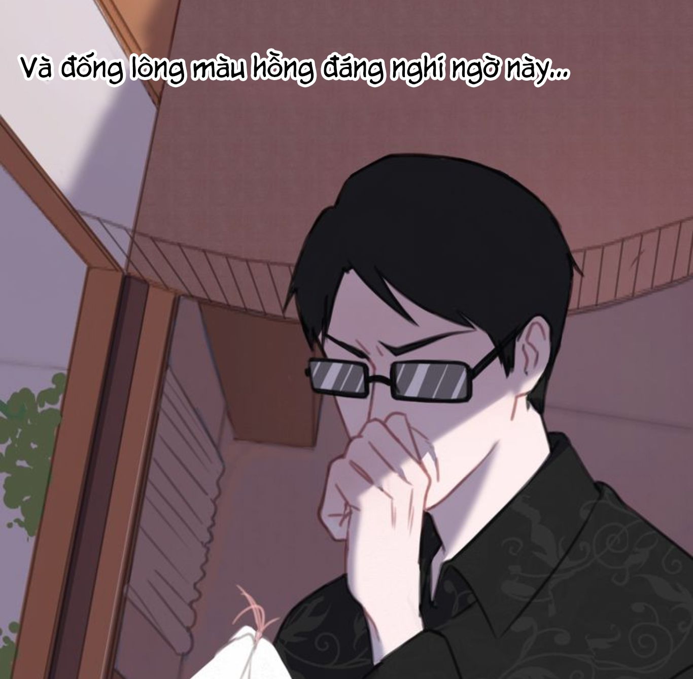 Đọc truyện Thế giới của một chú mèo - Chapter 8