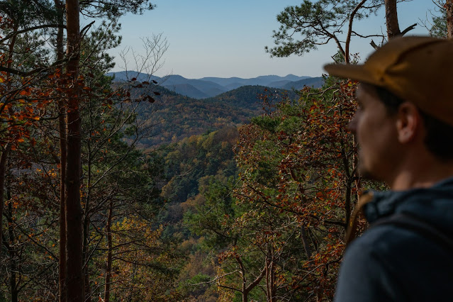 Pfälzer Keschdeweg | Etappe 2 Annweiler bis Albersweiler | Wandern Südliche Weinstraße | Wandern Wasgau 12