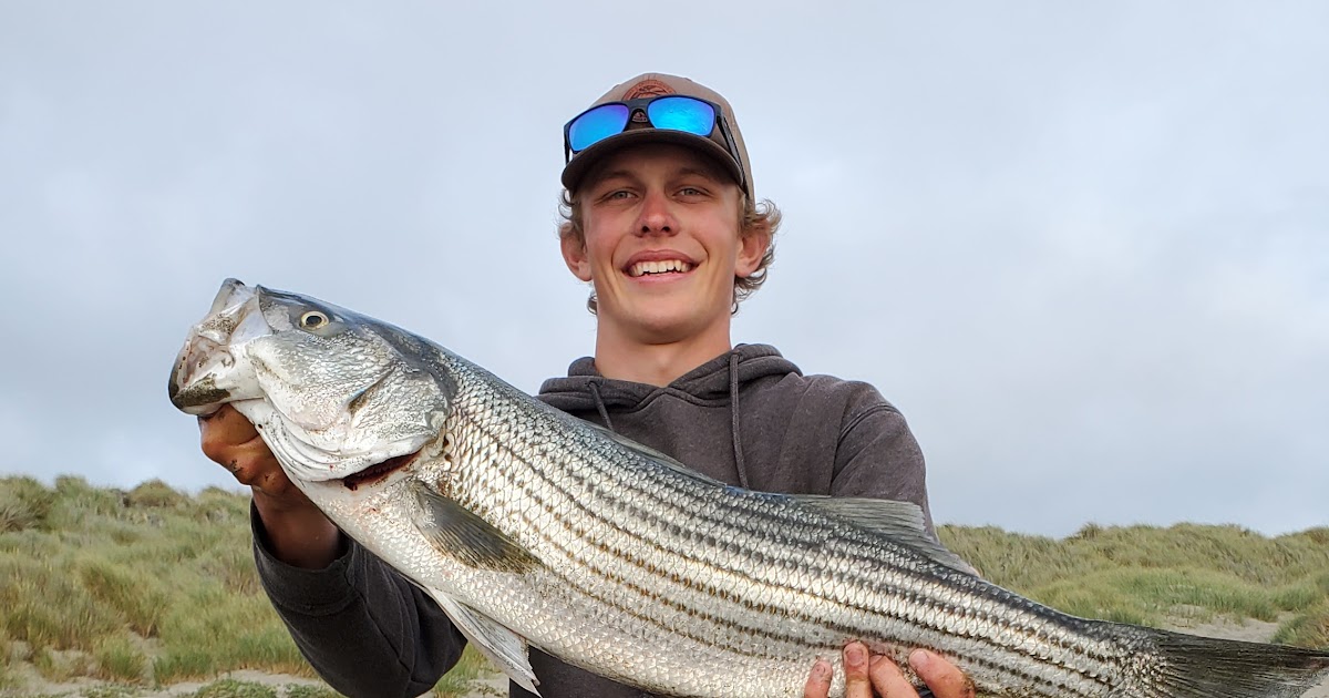 Lawson's Landing Fishing Report