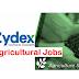 Sales Executive Officer-Agricultural Job