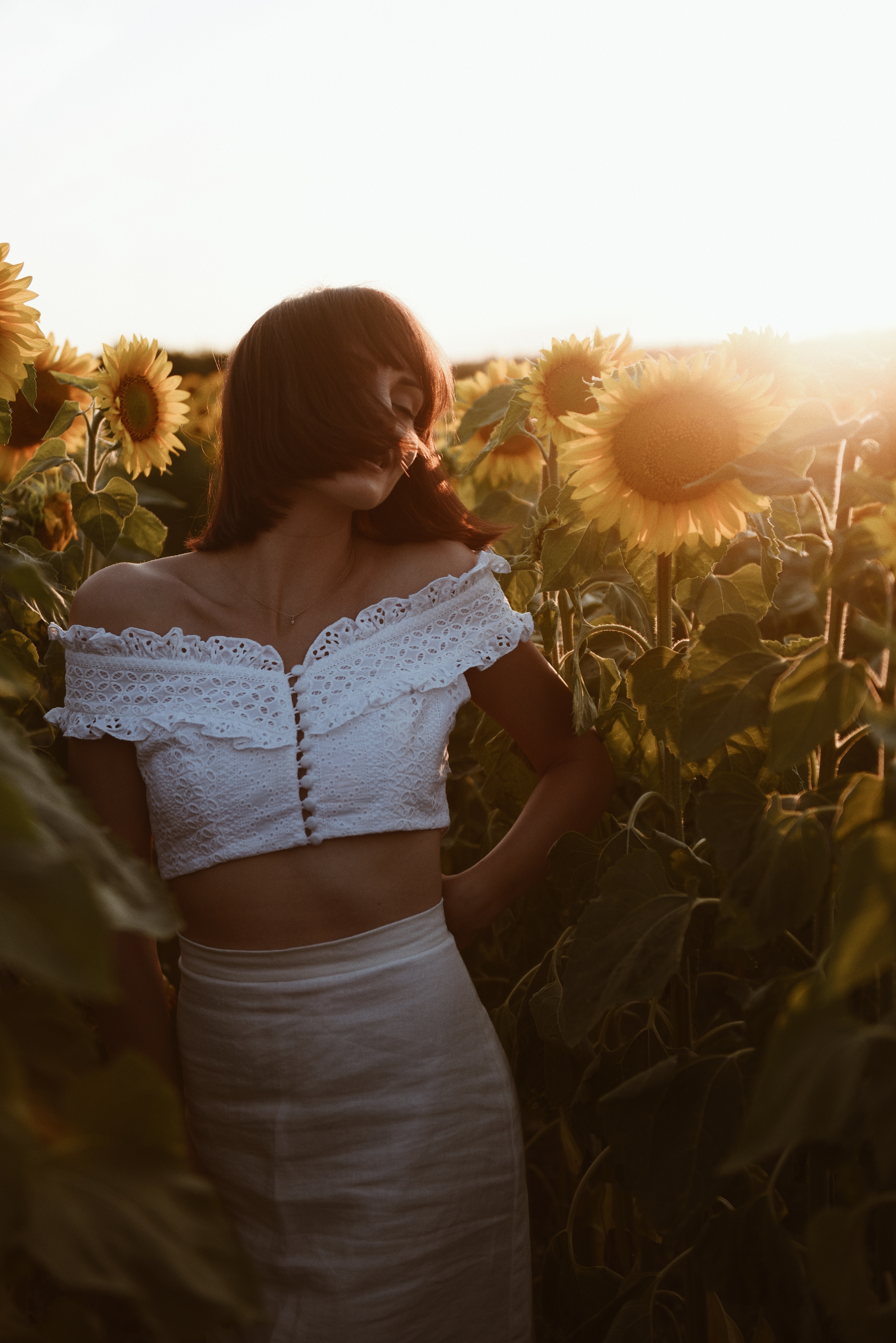 pole kwiatow