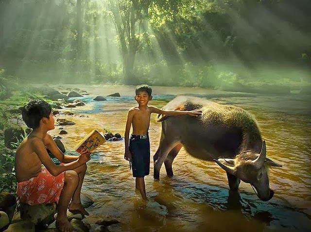 Ngaran Ngaran Anak Sasatoan Jeung Kembang Pepelakan