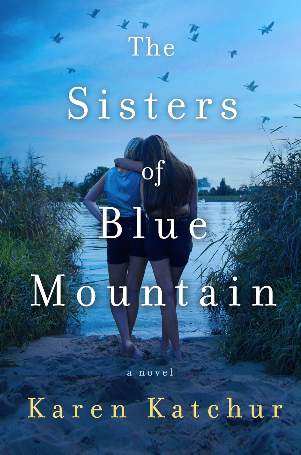 Reviews of Books On My Nightstand The Sisters of Blue Mountain by