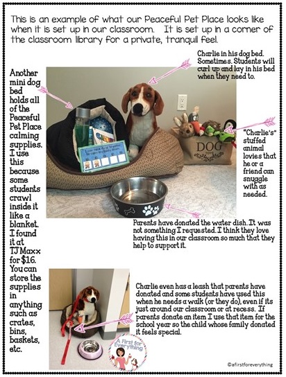 Create a simple, safe, and peaceful place in your classroom with a classroom "pet".