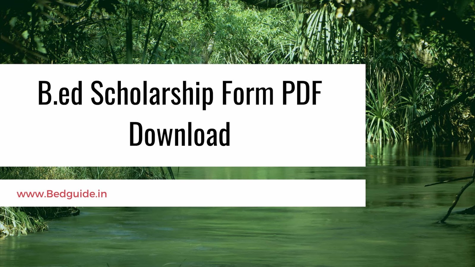 B.ED Scholarship Form PDF Download
