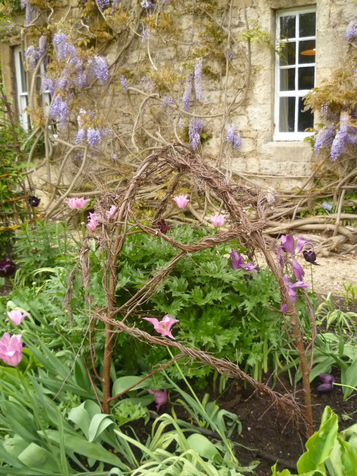 Worcester College Gardeners 20092018 Twisting The Silver Birch In To