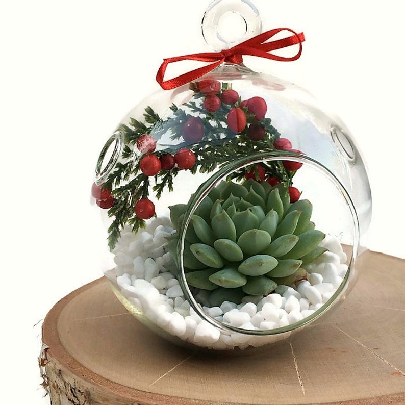 Succulent Christmas Trees, Ornaments, Wreaths and Decor!