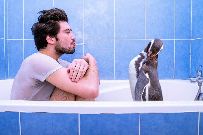 Французский фотограф. Alban Romer